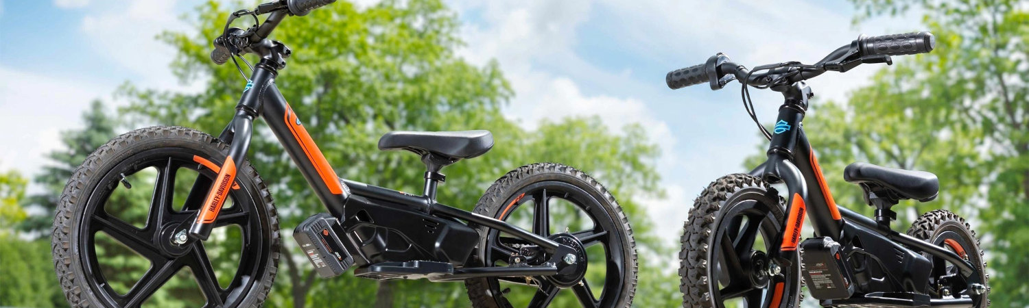 Harley-Davidson® IRONe™ for sale in Palm Springs Harley-Davidson®, Palm Springs, California